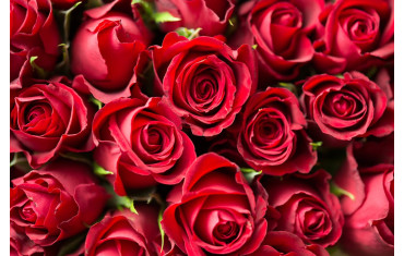 List of Romantic Ideas for Valentine’s Week