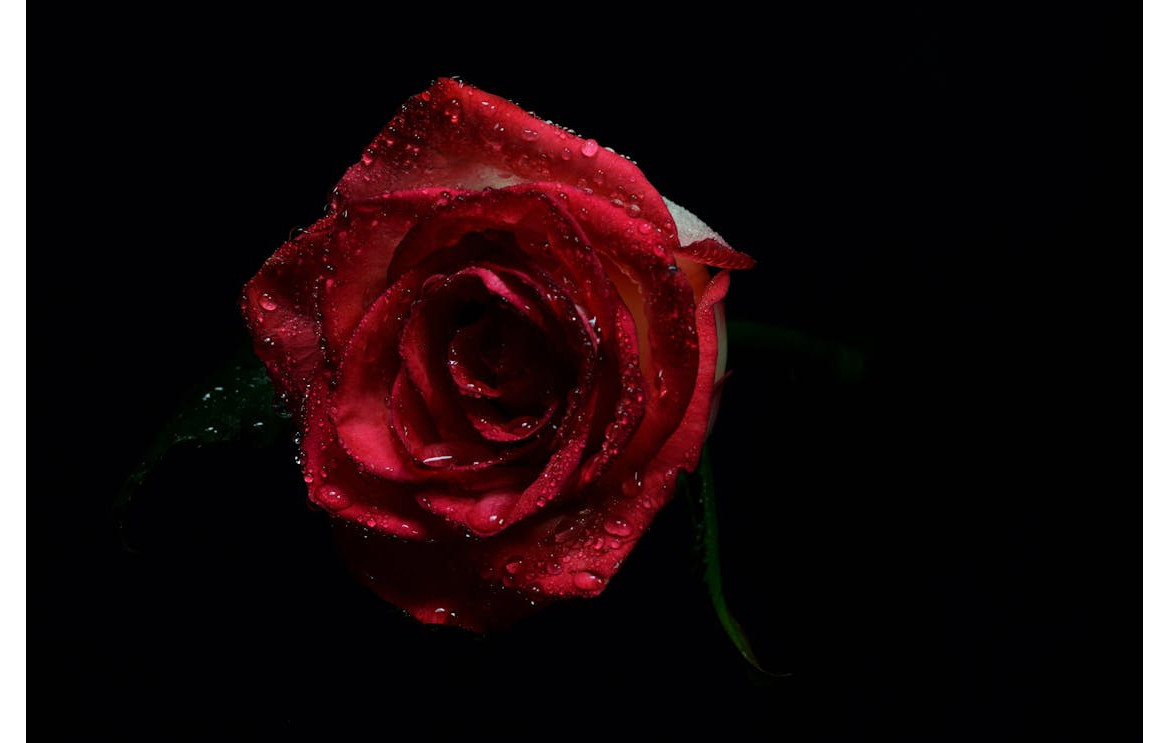 10 Ways to Impress Your Crush on Valentine’s Day