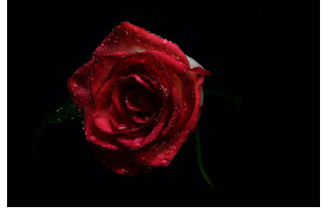 10 Ways to Impress Your Crush on Valentine’s Day